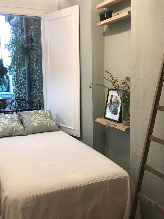 Apartamento Con Encanto Y Terraza En Barri Vell De Girona, El Cul De La Lleona Extérieur photo