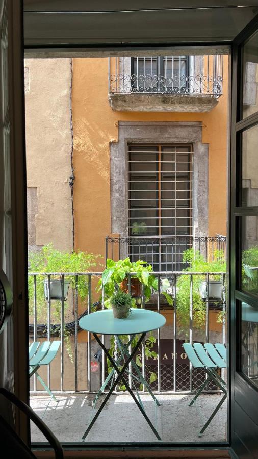 Apartamento Con Encanto Y Terraza En Barri Vell De Girona, El Cul De La Lleona Extérieur photo