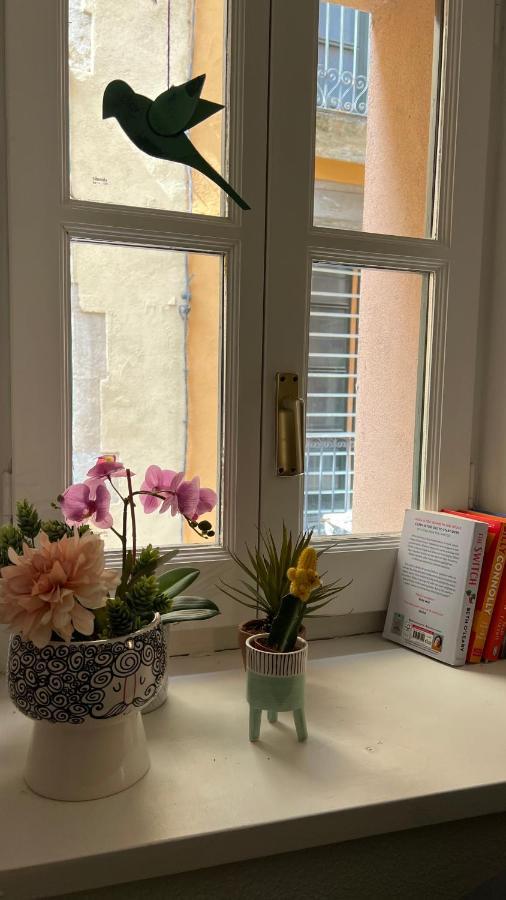 Apartamento Con Encanto Y Terraza En Barri Vell De Girona, El Cul De La Lleona Extérieur photo