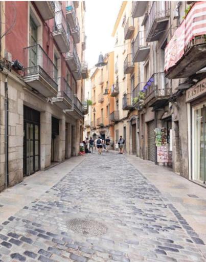 Apartamento Con Encanto Y Terraza En Barri Vell De Girona, El Cul De La Lleona Extérieur photo